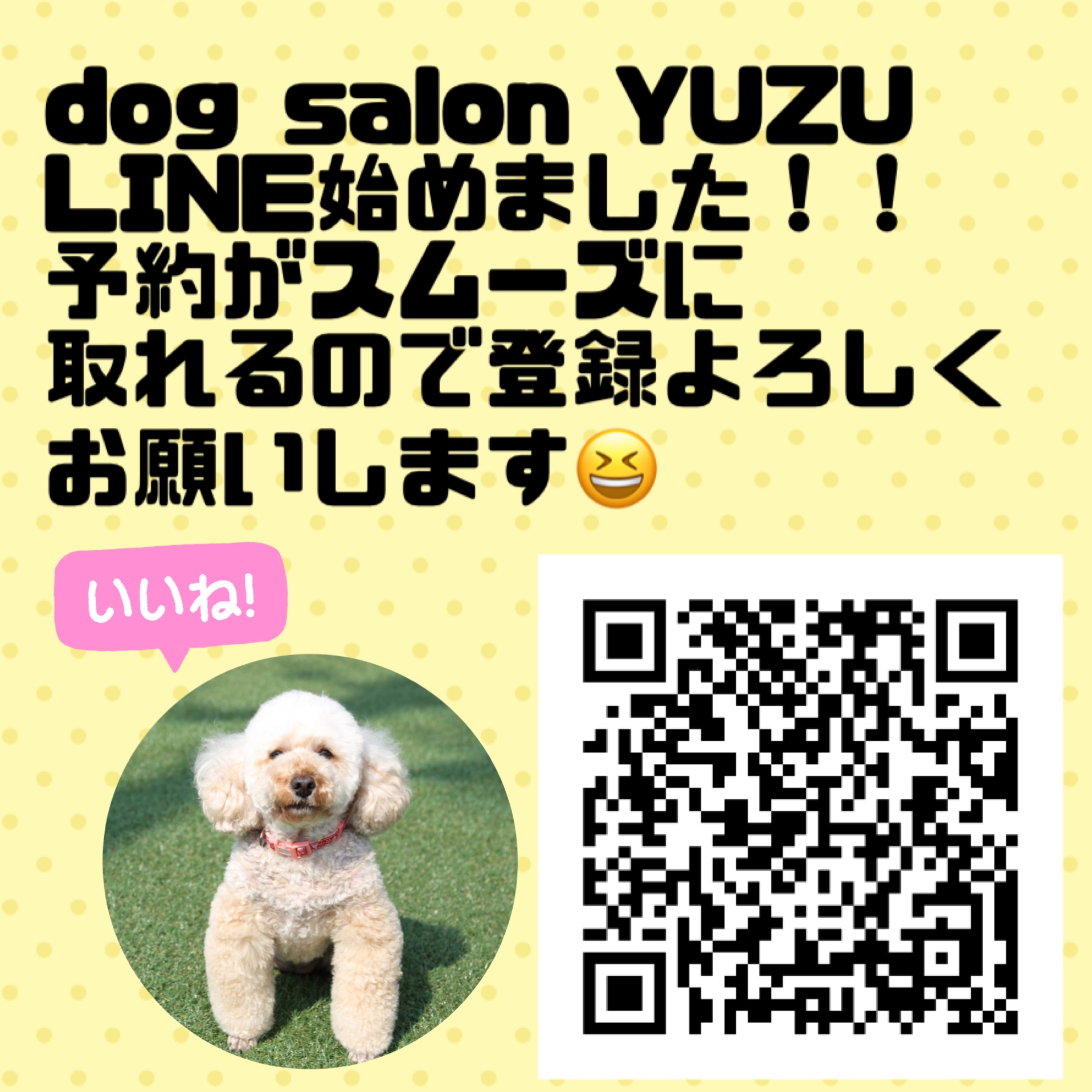 dog salon YUZU LINE 始めました!