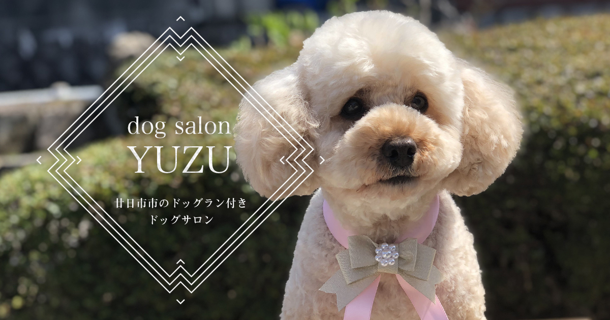 Dog Salon Yuzu 廿日市市のドッグラン付きドッグサロン